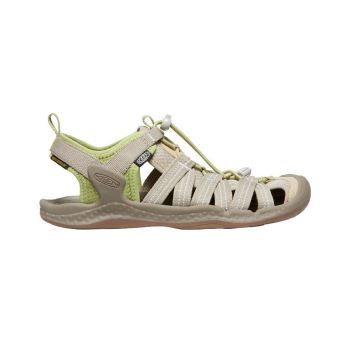 Women's DRIFT CREEK H2 (PLAZA TAUPE/TARRAGON)